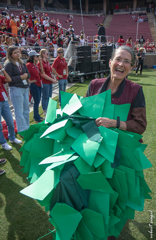 stanford football 2024